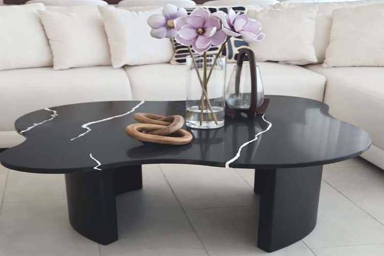 Cosa Int Furnishing